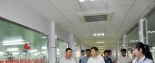 工业和信息化部中小企业局副局长许科敏一行莅临明一国际考察
