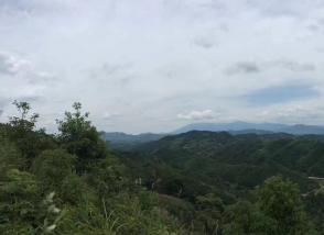 会当凌绝顶｜明一国际董事局主席考察高山生态牧场