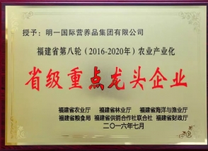 明一国际：发挥龙头企业引领 加快现代乳业特色互补新格局
