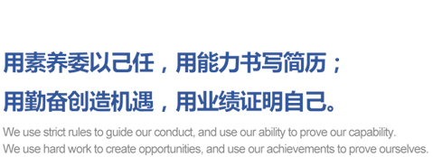 人才发展战略